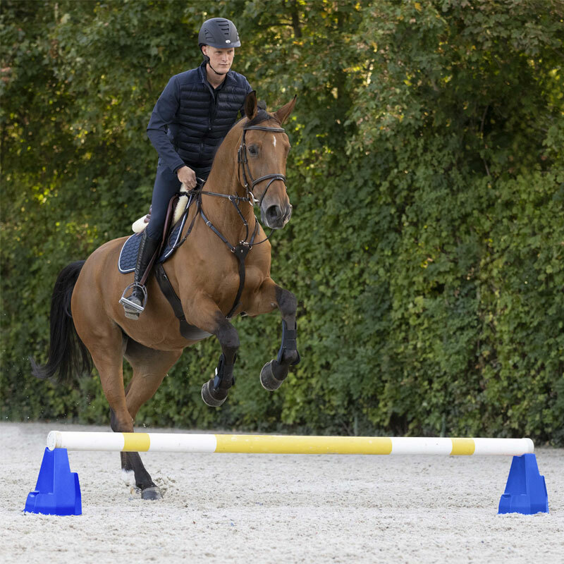 CAVALETTI WALDHAUSEN HG 